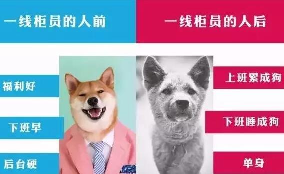 温州会计培训班